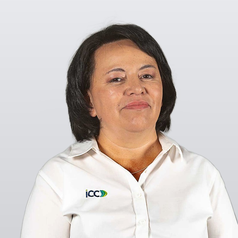 Ana María Jara R., Contabilidad — ICC
