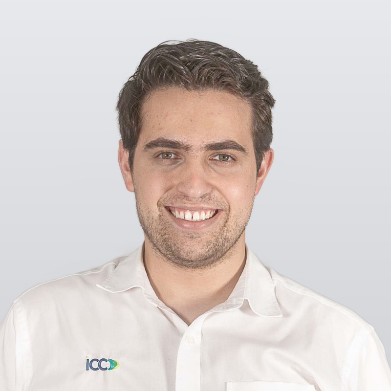 Ing. Armando Fuentes V., Ingeniero de Proyecto — ICC