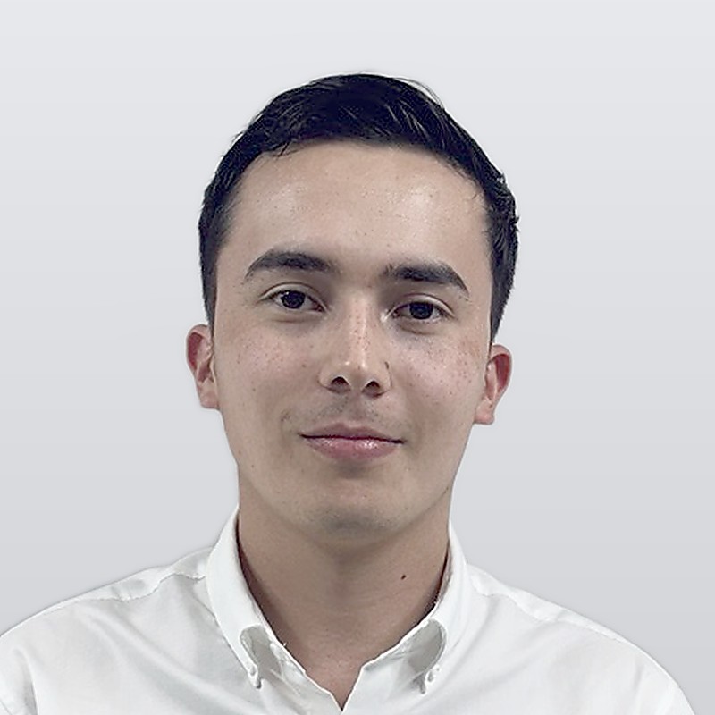Ing. Carlos Flores P., Asistente de Proyecto — ICC