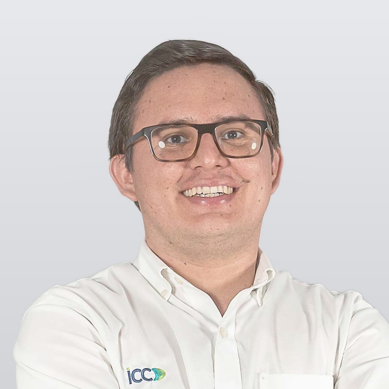 Ing. Gabriel Rojas R., MAP, PMP, Ingeniero de Proyecto — ICC