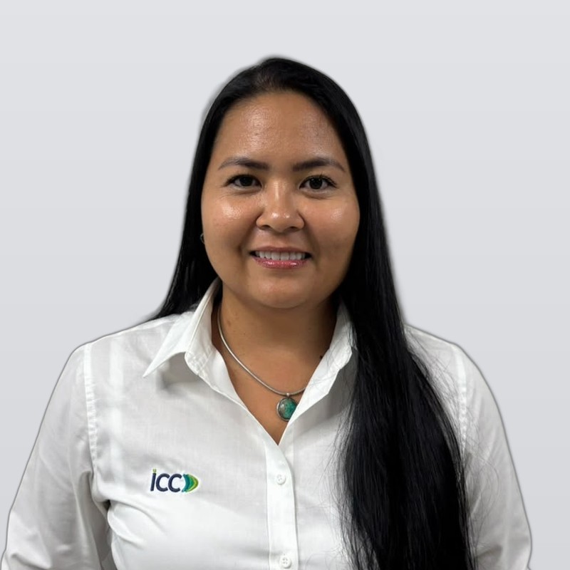 Ing. Neferti Acón A., Gerente de Proyecto — ICC
